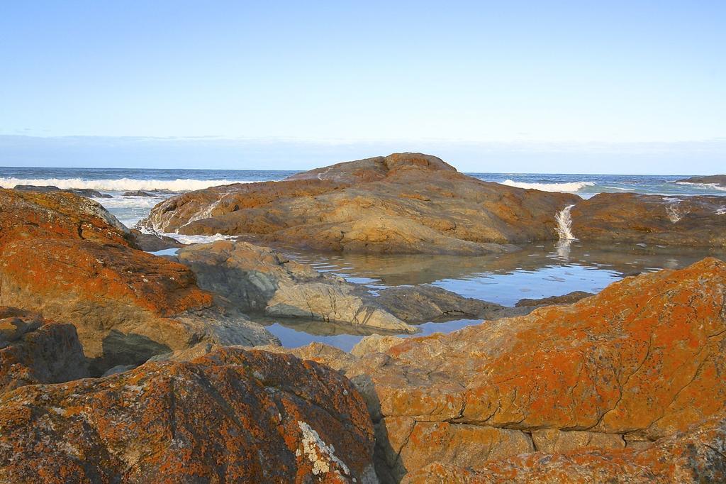 Falmouth Saltwater - Absolute Oceanfront, Fire Pits, Some Villas With Hot Tubs And Sauna מראה חיצוני תמונה