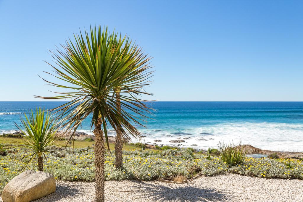 Falmouth Saltwater - Absolute Oceanfront, Fire Pits, Some Villas With Hot Tubs And Sauna מראה חיצוני תמונה